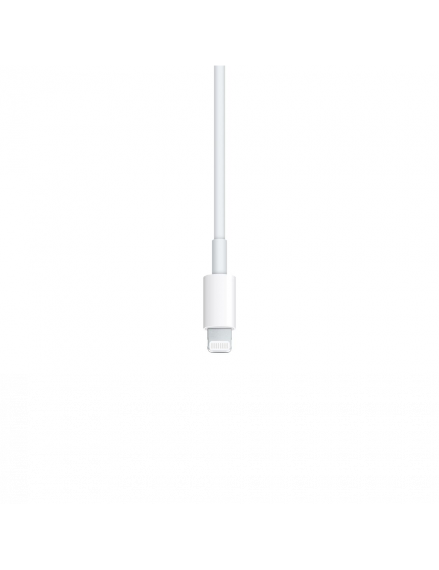 Original Appel Câble USB-C vers Lightning (1 m)
