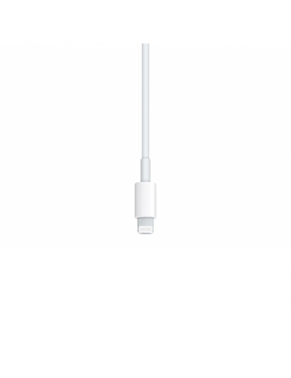 Original Appel Câble USB-C vers Lightning (1 m)