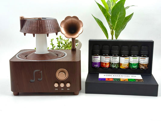 Diffuseur Bluetooth Vintage